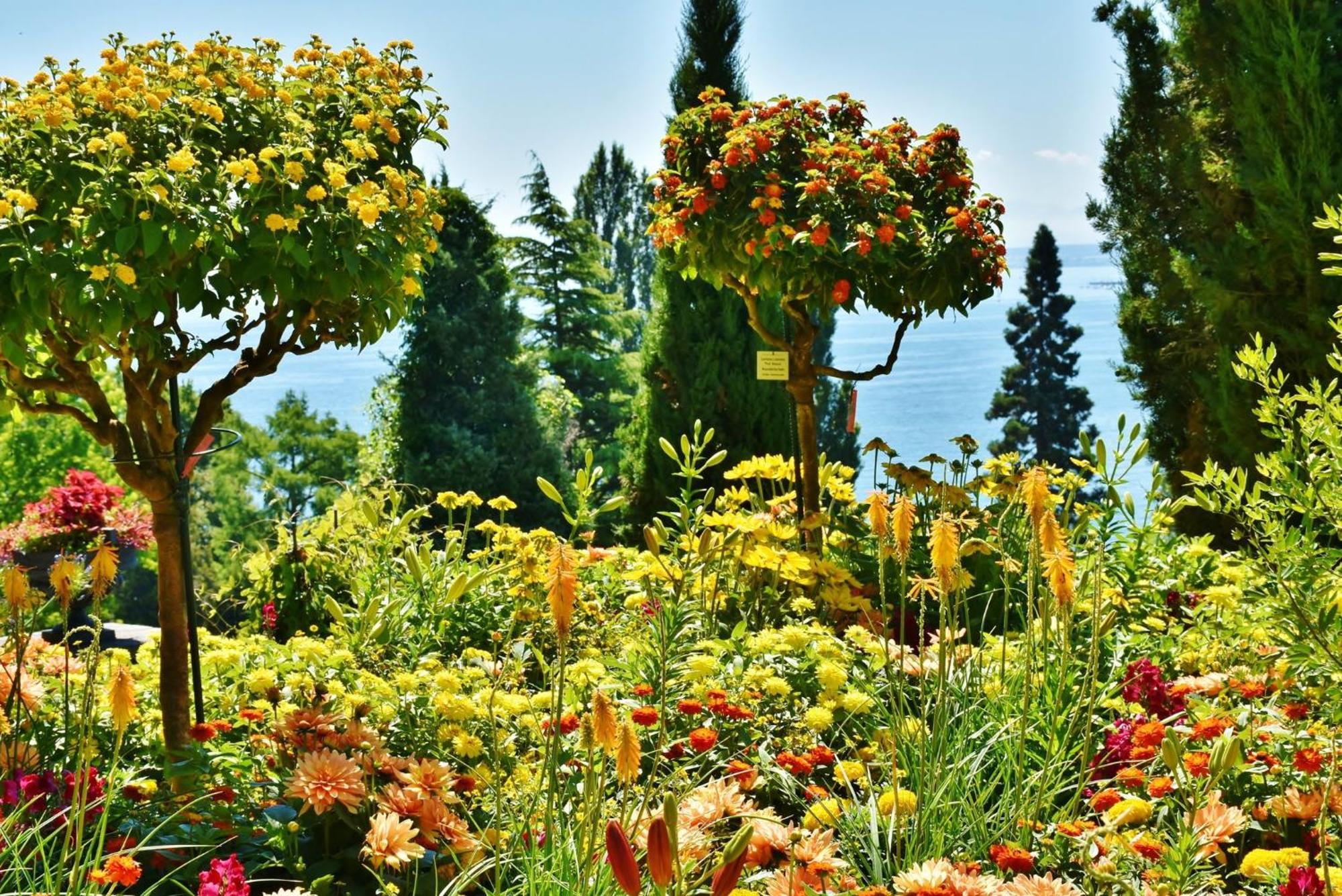 Holiday Inn - The Niu, Flower Konstanz By Ihg Exterior photo